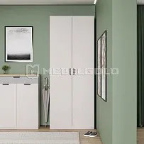 Шкаф Модерн 2D