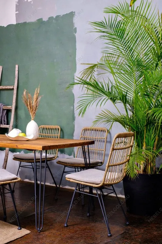 Обеденная группа CHARLOTTE M | изображение 1