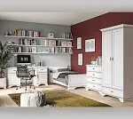 Шкаф Кентаки SZF2D1S белый | изображение 5