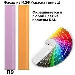 Шкаф-пенал Отис МН-039-07 П9 с фасадом МДФ (краска глянец RAL) | изображение 1