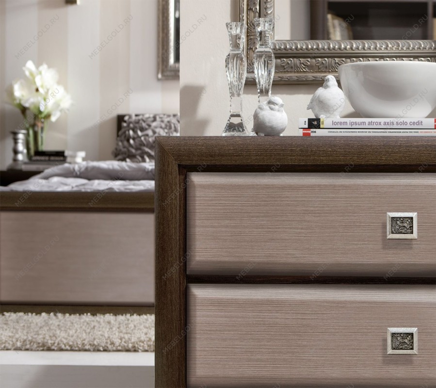 Витрина Коен REG1W2S Венге/Штрокс (NEW) | изображение 1