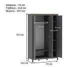 САГА шкаф 3 двери с зеркалом серый/ясень | изображение 4