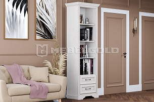 Шкаф Стилиус REG2S (Лиственница сибирская)