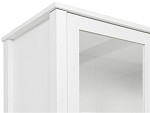 Шкаф-витрина Ева (Хельга) REG1W1S/65 белый | изображение 4