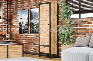 Шкаф Лофт REG1D1S