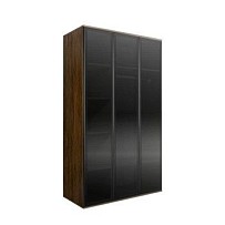 Шкаф 3-х дв. (3 двери стекло) Bogemia Woodline Air (Wood/Черный) БМШ2/3(3)