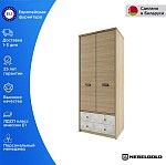 Шкаф 2-створчатый Дизель 2DG2S/D2 | изображение 1