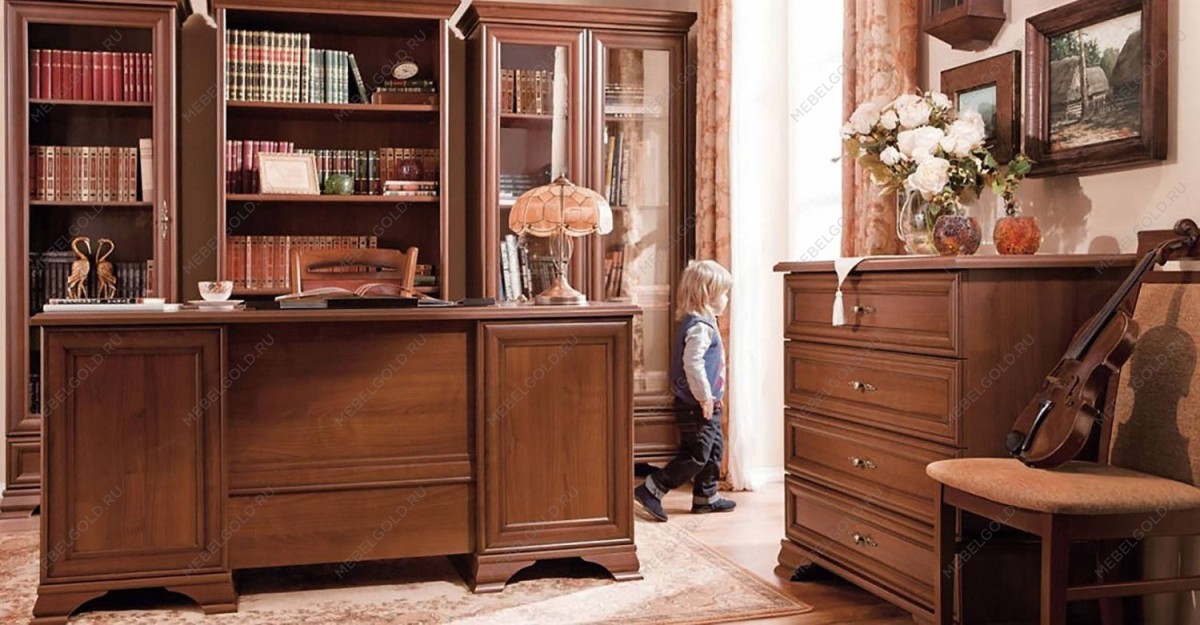 Кабинет Кентаки Каштан 1