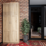 ПЕГАС Шкаф ИКЕА / IKEA 2 двери сборные сонома | изображение 4