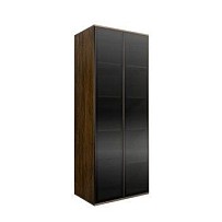 Шкаф 2-х дв. (2 двери стекло) Bogemia Woodline Air (Wood/Черный) БМШ2/2(2)