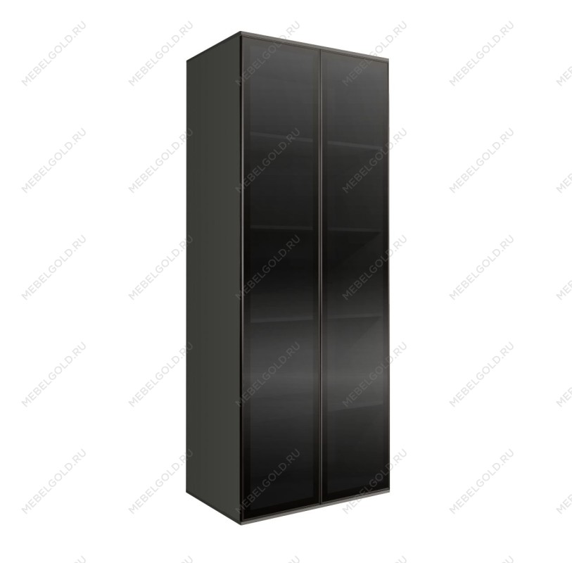 Шкаф 2-х дверный Bogemia Air (Серый/Черный) БМШ2/2(2)